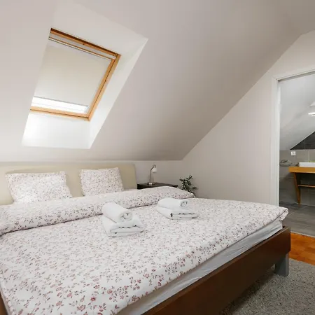 Roy 2 Bdr With Castle View, Parking & Ac * Praga